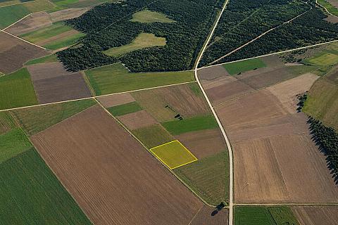 Süloğlu Şafak'ta Ana Yola Komşu 6.360 m² Tek Tapu Arazi