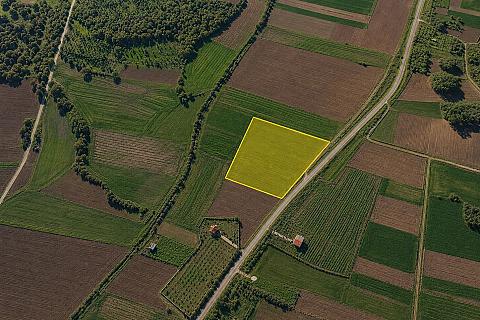 13,900 m² Single-Title Land with Main Road Frontage in Şafak, Süloğlu