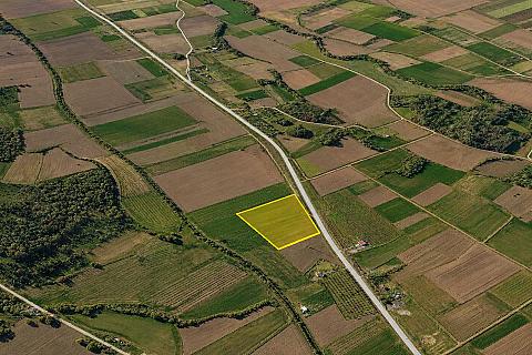 13,900 m² Single-Title Land with Main Road Frontage in Şafak, Süloğlu