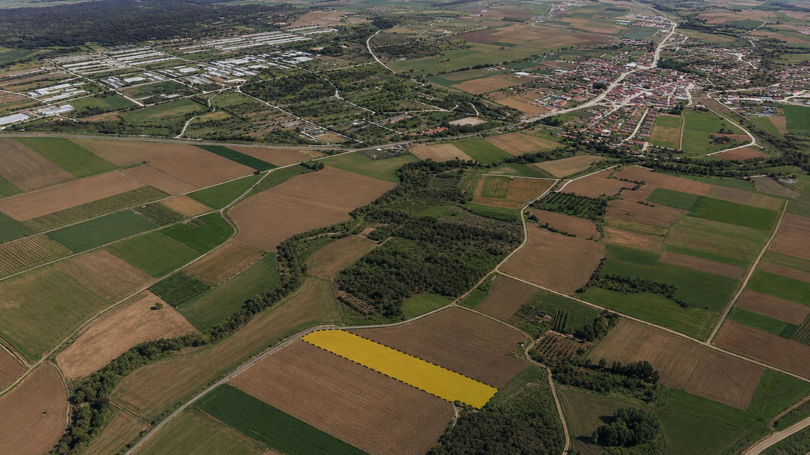 7,152 m² Single-Title Land in Şafak, Süloğlu
