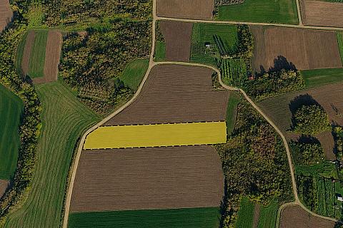 7,152 m² Single-Title Land in Şafak, Süloğlu