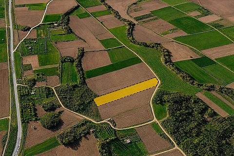 7,152 m² Single-Title Land in Şafak, Süloğlu