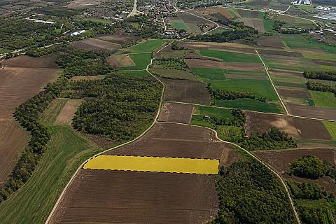 7,152 m² Single-Title Land in Şafak, Süloğlu