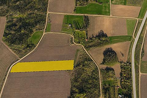7,152 m² Single-Title Land in Şafak, Süloğlu